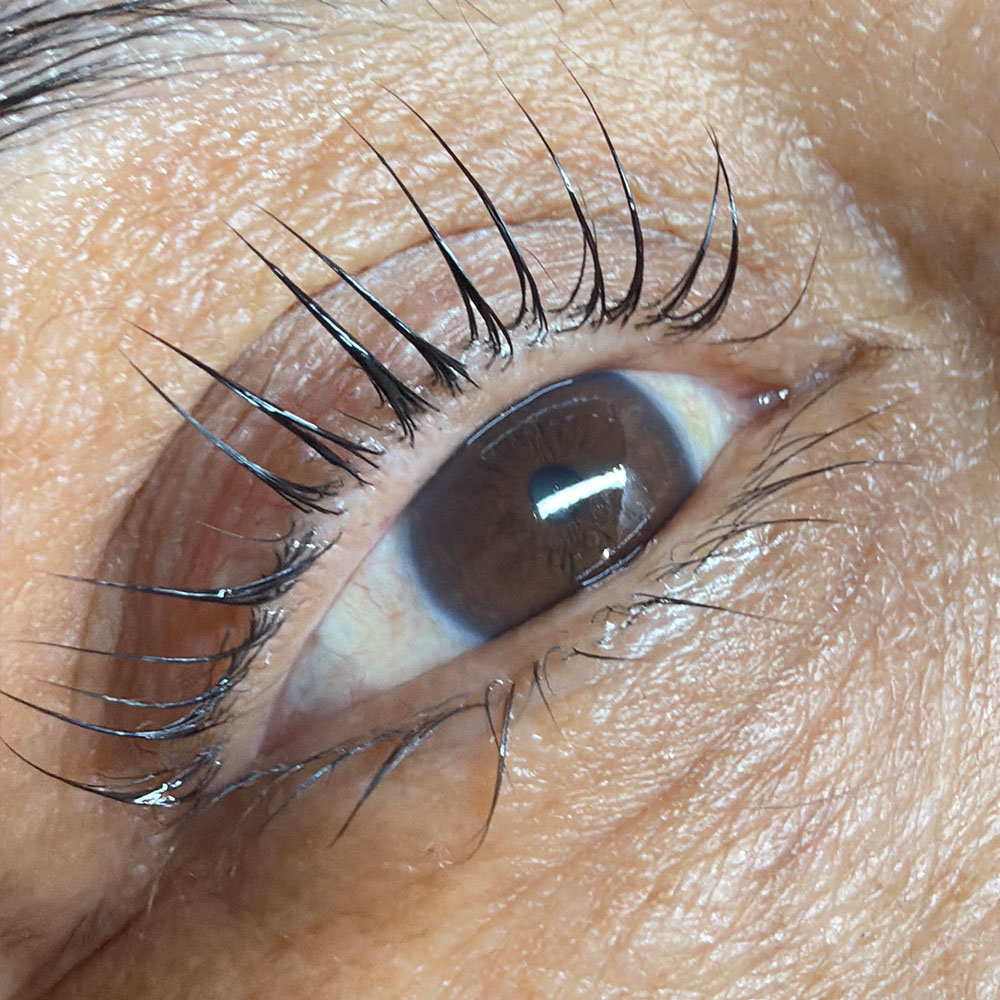 CURSO DE LASH LIFTING COREANO